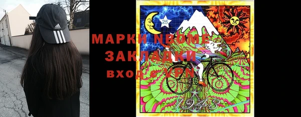 индика Алзамай