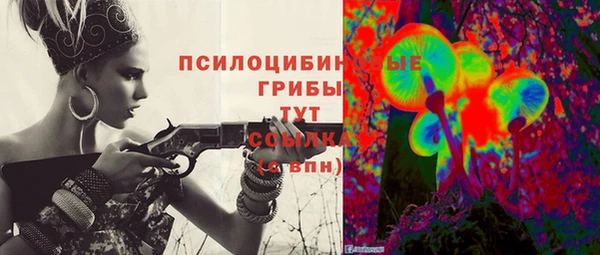 индика Алзамай