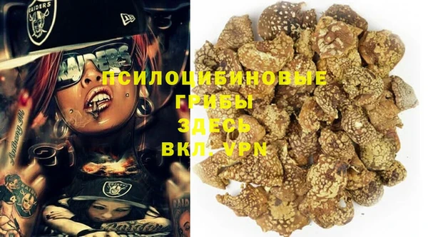 индика Алзамай